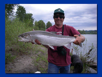 Western Washington Spring Salmon